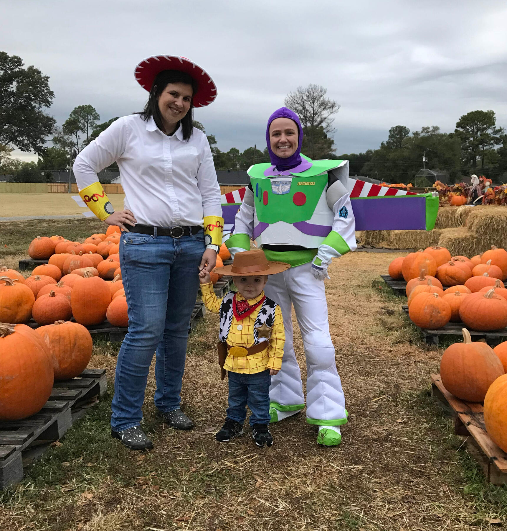 Toy Story Family Costume
